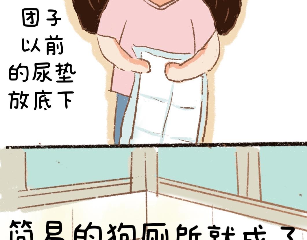 《团哥二三事》团哥二三事之狗狗厕所篇 第6页