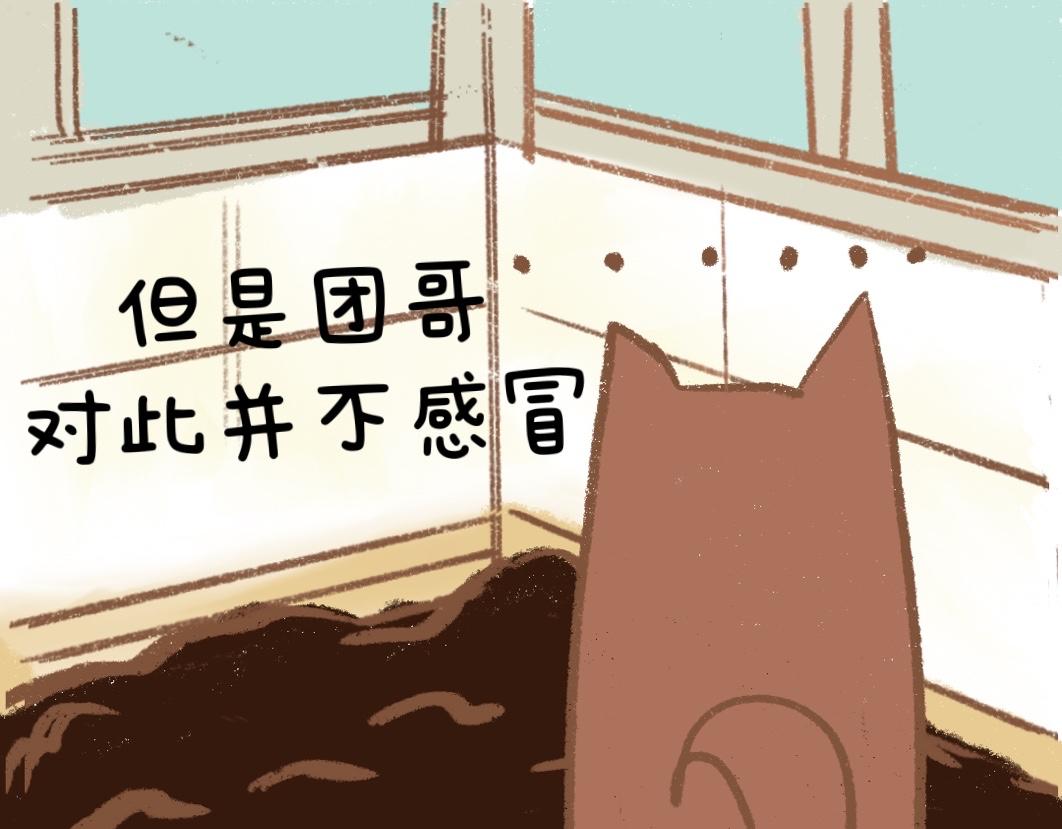 《团哥二三事》团哥二三事之狗狗厕所篇 第8页
