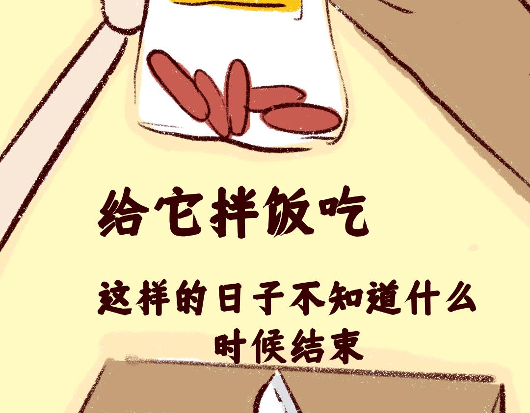 《团哥二三事》团哥二三事之物资篇 第11页