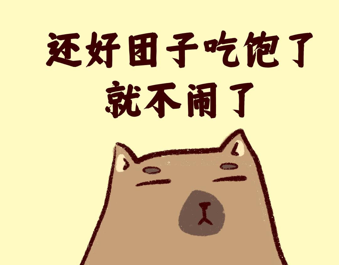 《团哥二三事》团哥二三事之物资篇 第13页