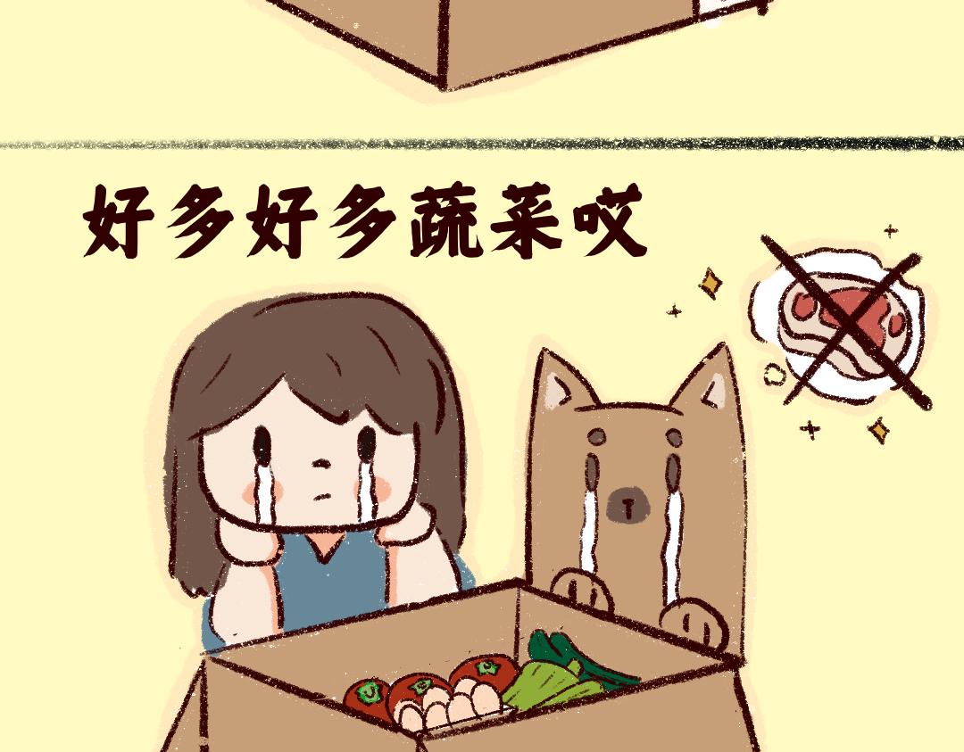 《团哥二三事》团哥二三事之物资篇 第4页