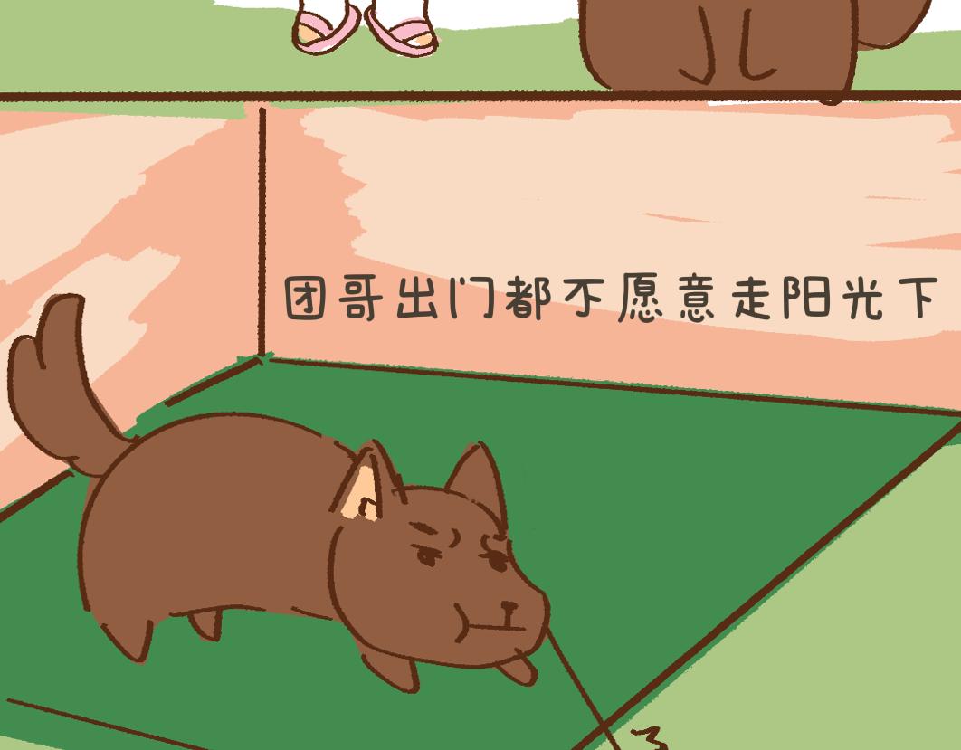 《团哥二三事》团哥二三事之夏日趣事篇 第14页