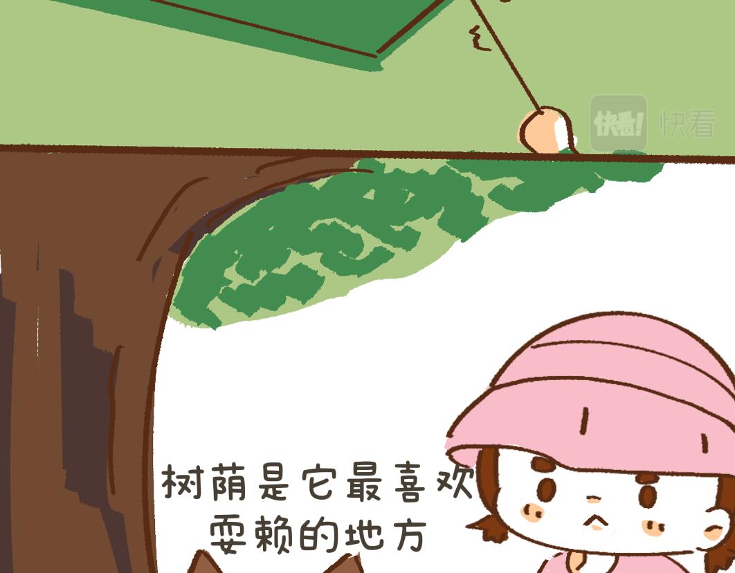 《团哥二三事》团哥二三事之夏日趣事篇 第15页
