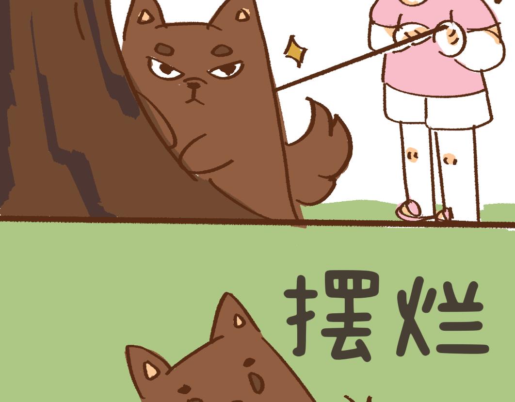 《团哥二三事》团哥二三事之夏日趣事篇 第16页
