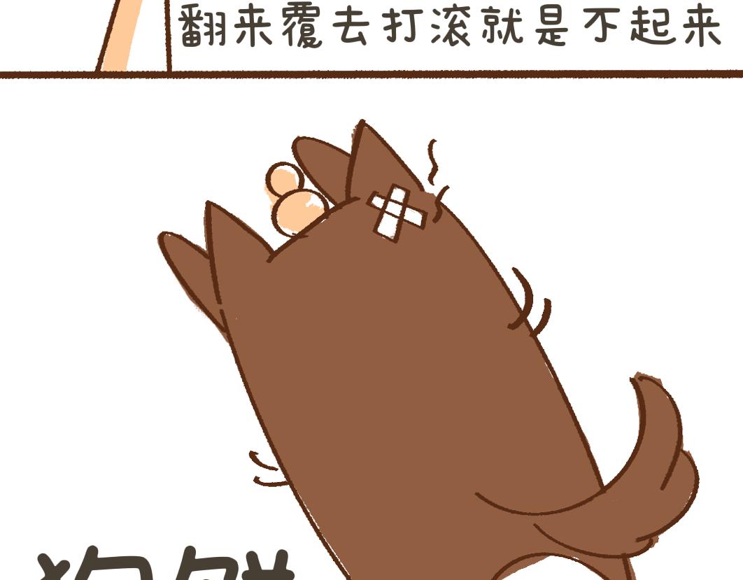 《团哥二三事》团哥二三事之夏日趣事篇 第19页
