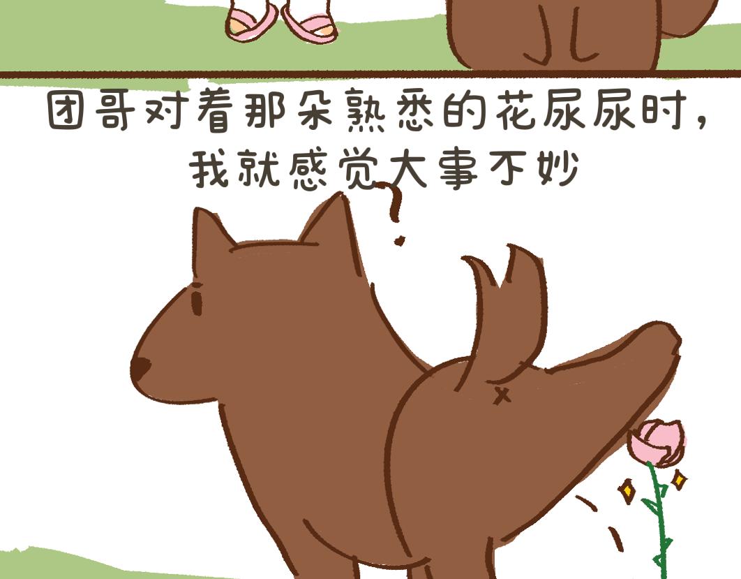 《团哥二三事》团哥二三事之夏日趣事篇 第4页