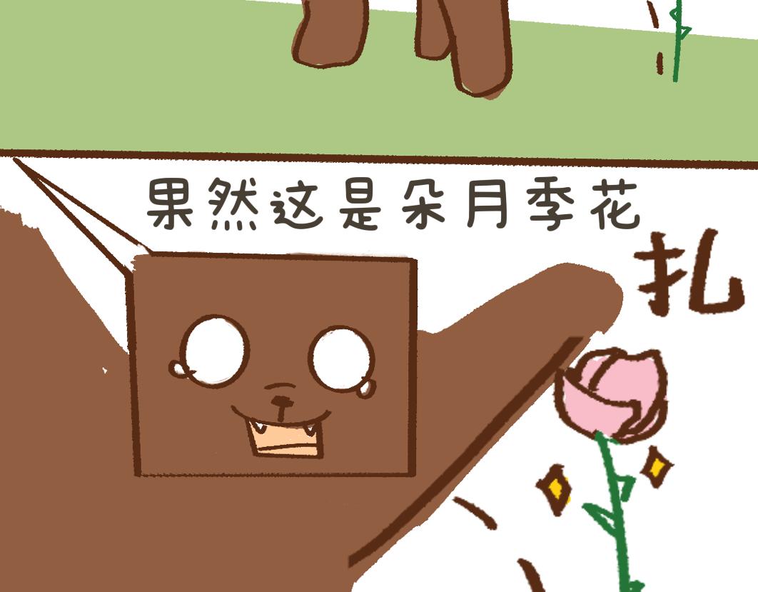 《团哥二三事》团哥二三事之夏日趣事篇 第5页