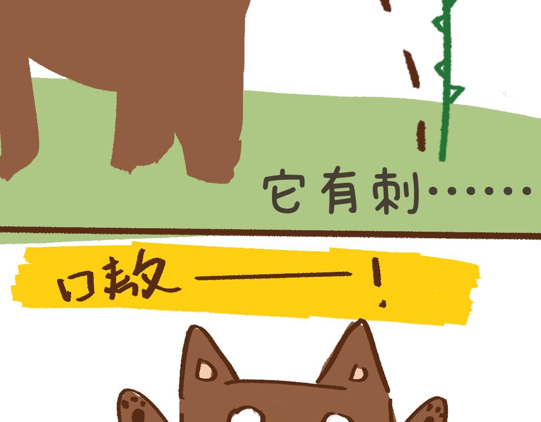 《团哥二三事》团哥二三事之夏日趣事篇 第6页