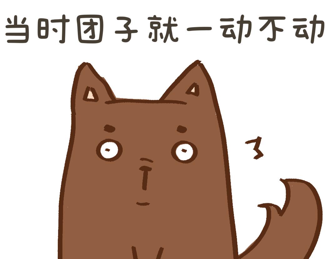 《团哥二三事》团哥二三事之夏日趣事篇 第8页