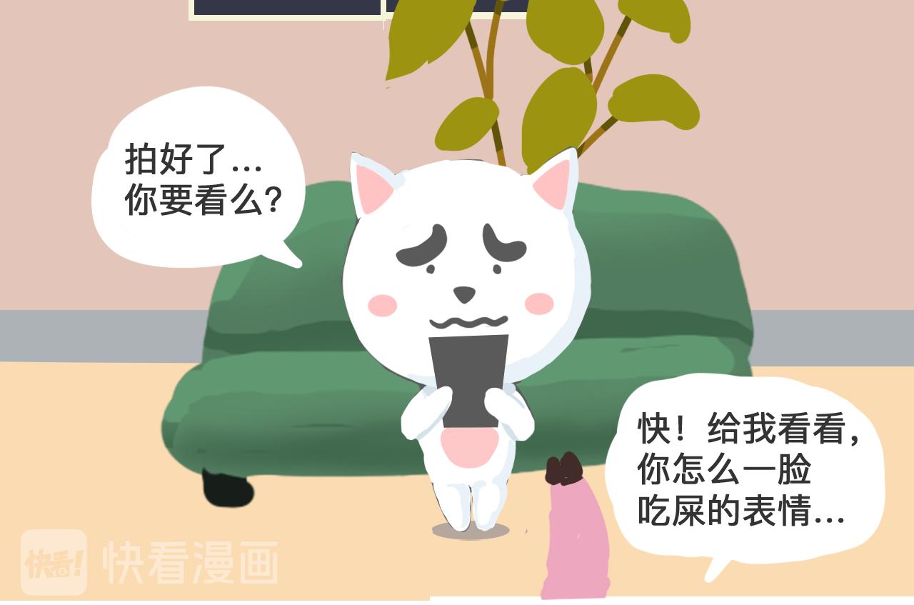 《粉小胖日常》直播风口上的猪 第14页