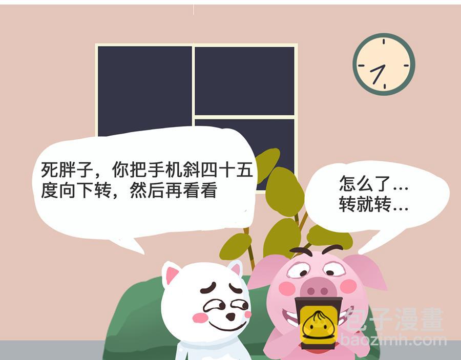 《粉小胖日常》直播风口上的猪 第5页
