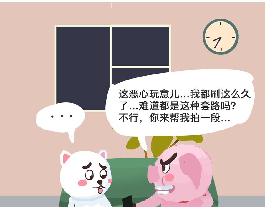 《粉小胖日常》直播风口上的猪 第8页