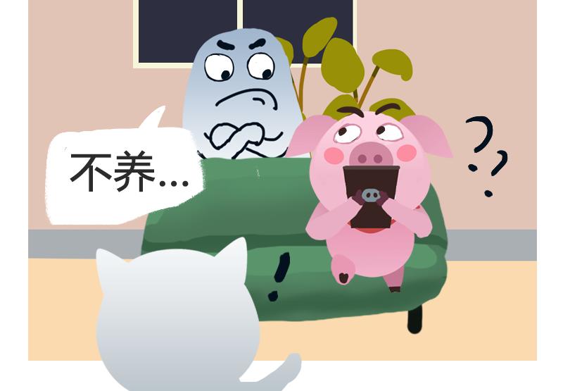 《粉小胖日常》逻辑思维 第20页