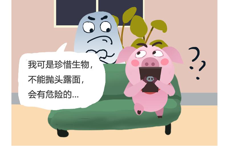 《粉小胖日常》找工作 第6页