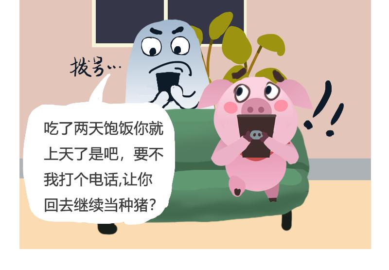 《粉小胖日常》找工作 第8页