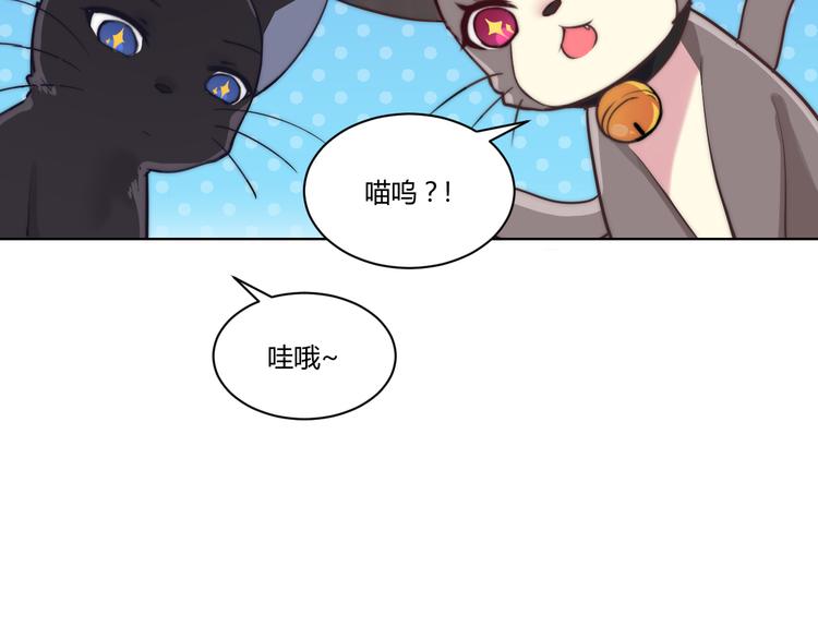 《幸运喵咖啡》第4话 猫爪下的金鱼（上） 第6页