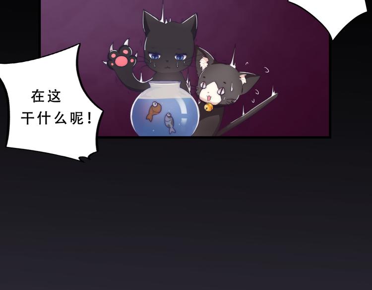 《幸运喵咖啡》第5话 猫爪下的金鱼（下） 第21页