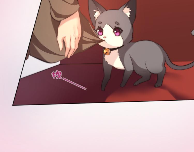 《幸运喵咖啡》第8话 猫的报恩（下） 第11页