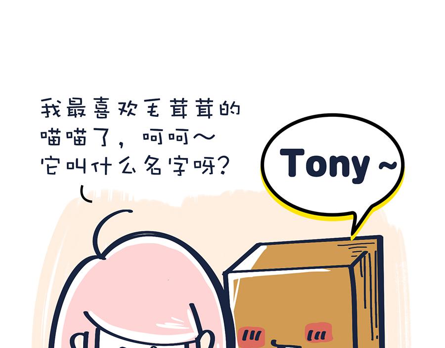 《沛帕·卡拉夫特》香水与Tony猫 第24页