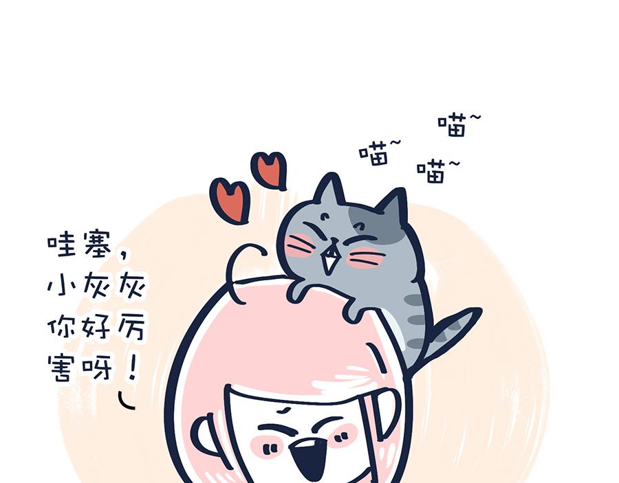《沛帕·卡拉夫特》香水与Tony猫 第32页