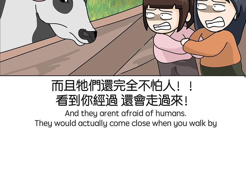 《不列颠岛飘流记》住在村里的日子2 第35页