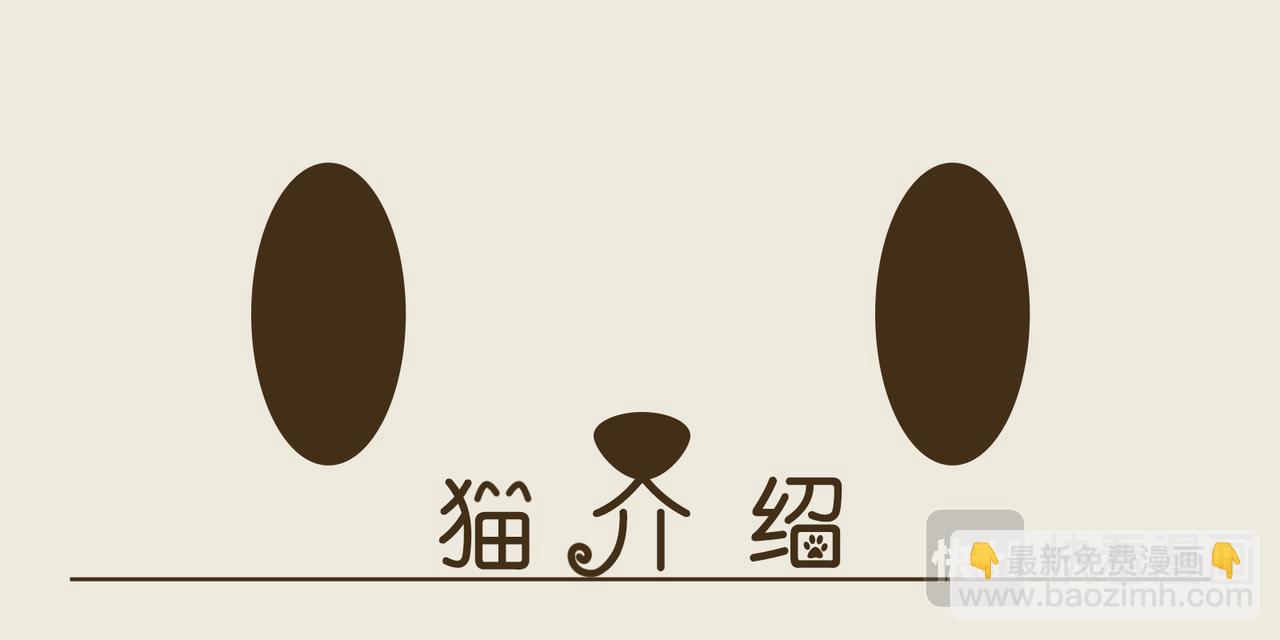 《三猫流浪记之希喵神话》雅典娜 第3页