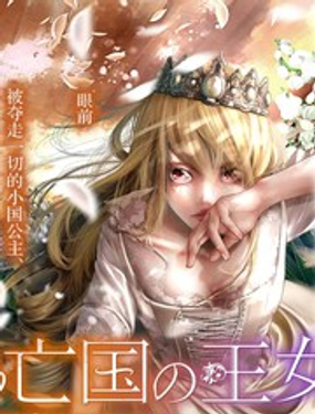 《染血的亡国公主》漫画封面图 - tl漫画