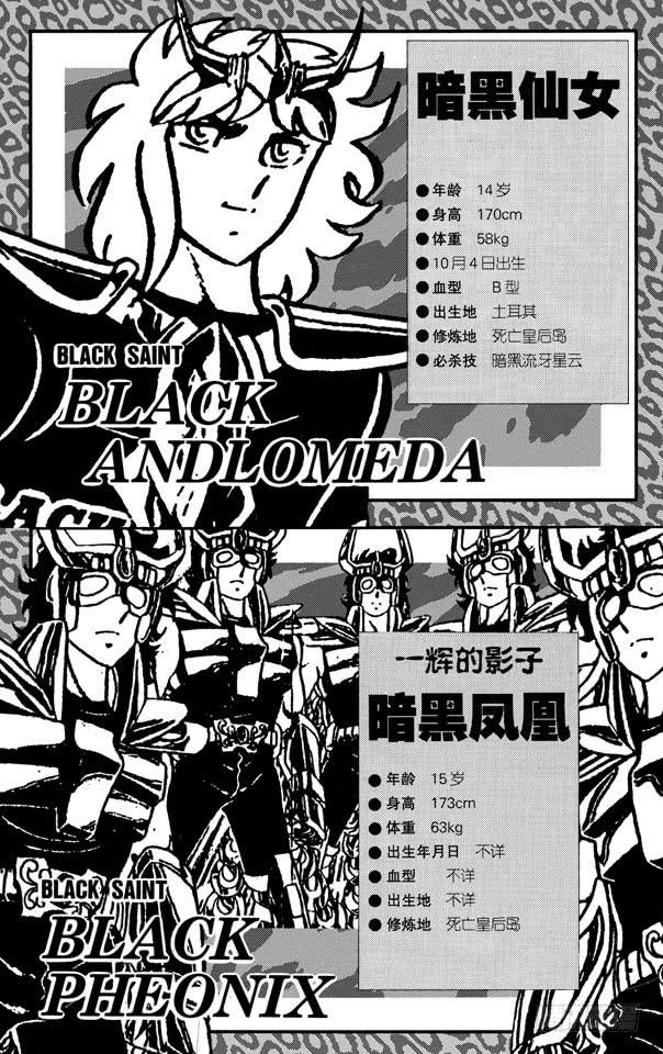 《圣斗士星矢（番外篇）》番外12 CHARACTER DATA 第9页