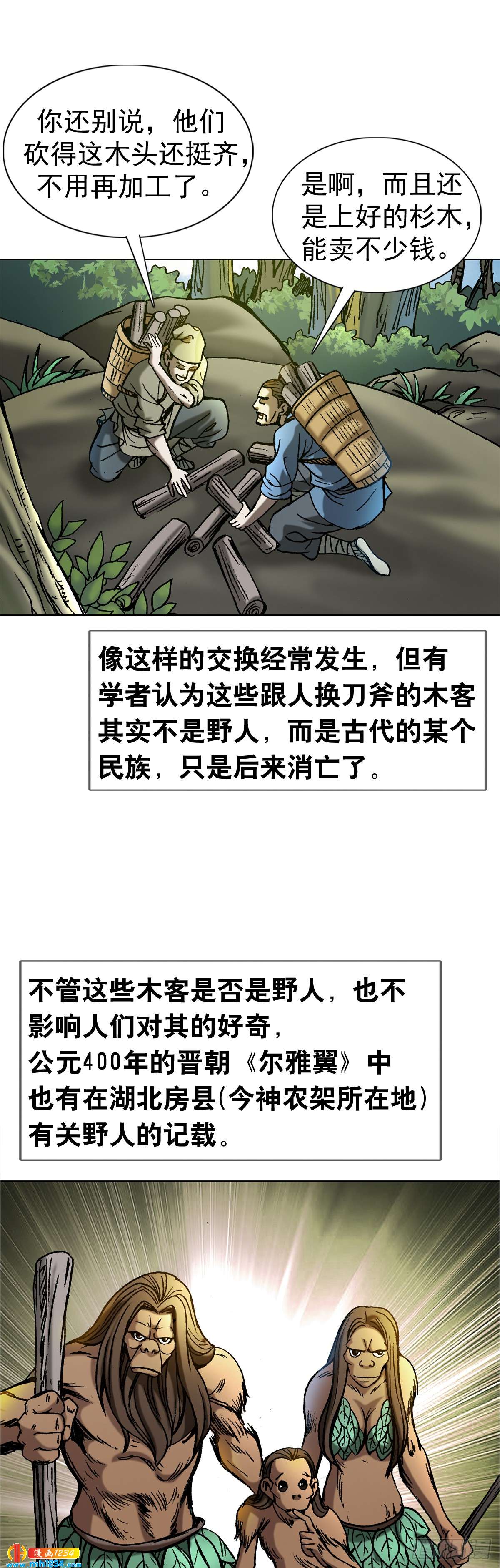 《传奇中国》4神农架野人 第13页