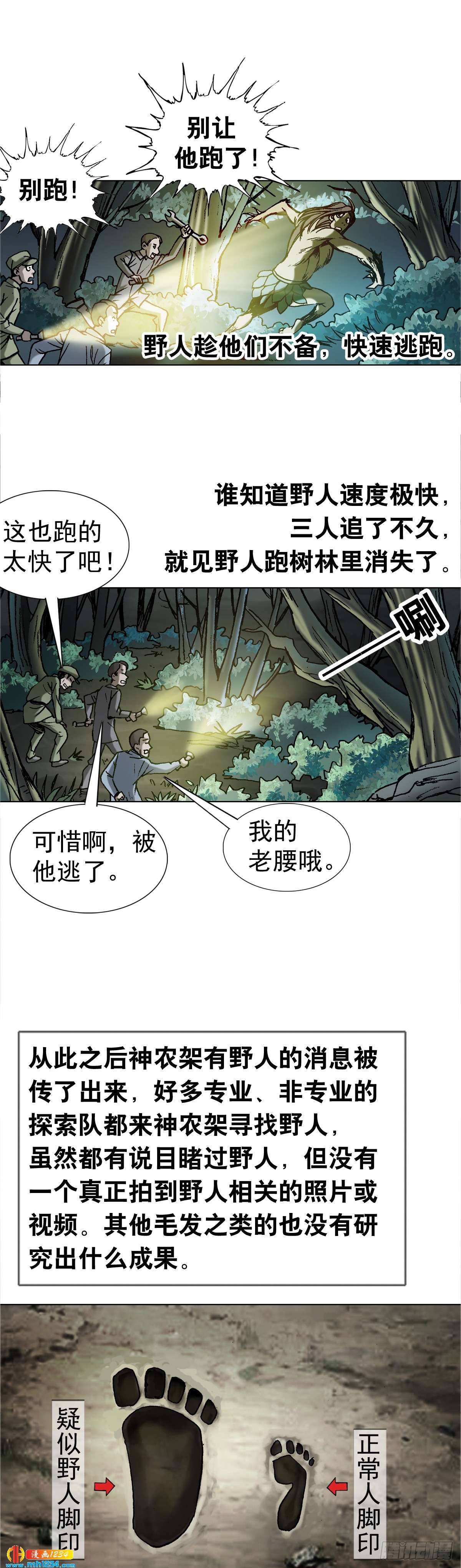 《传奇中国》4神农架野人 第30页