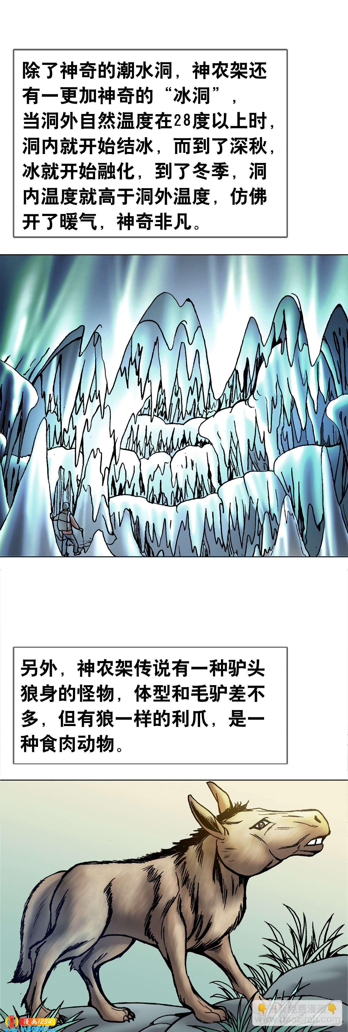 《传奇中国》4神农架野人 第3页