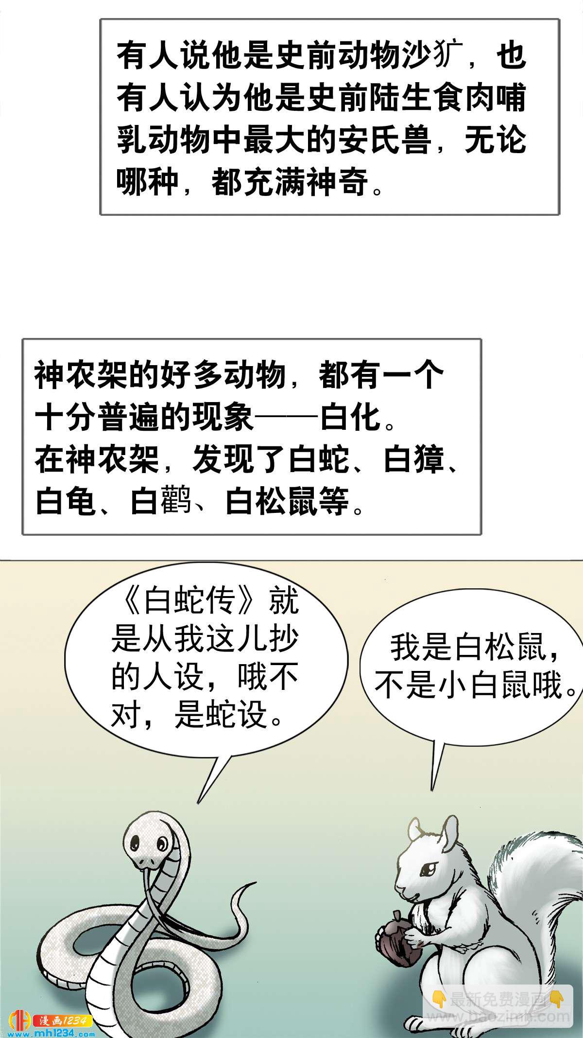 《传奇中国》4神农架野人 第4页