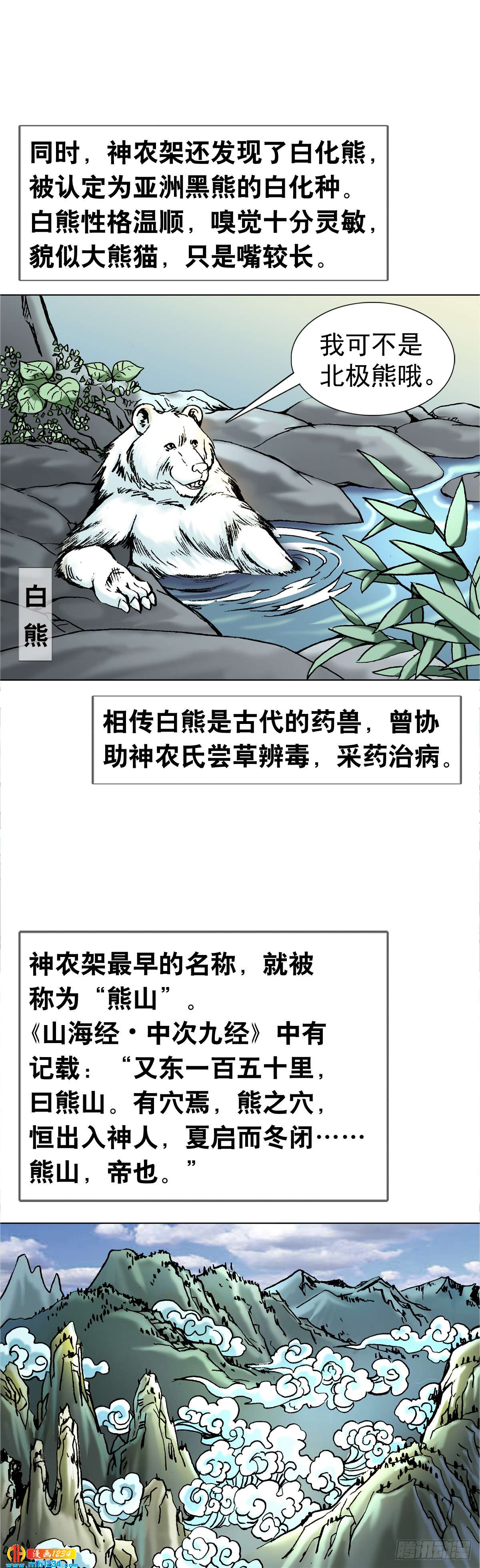 《传奇中国》4神农架野人 第5页