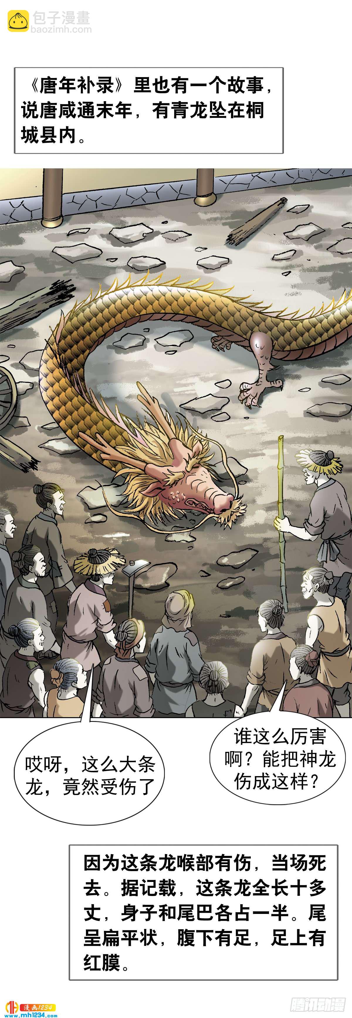 《传奇中国》8古代真的有龙吗？ 第25页