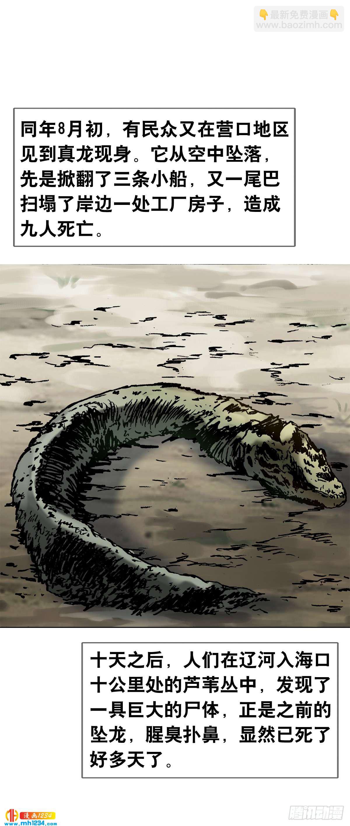 《传奇中国》8古代真的有龙吗？ 第33页