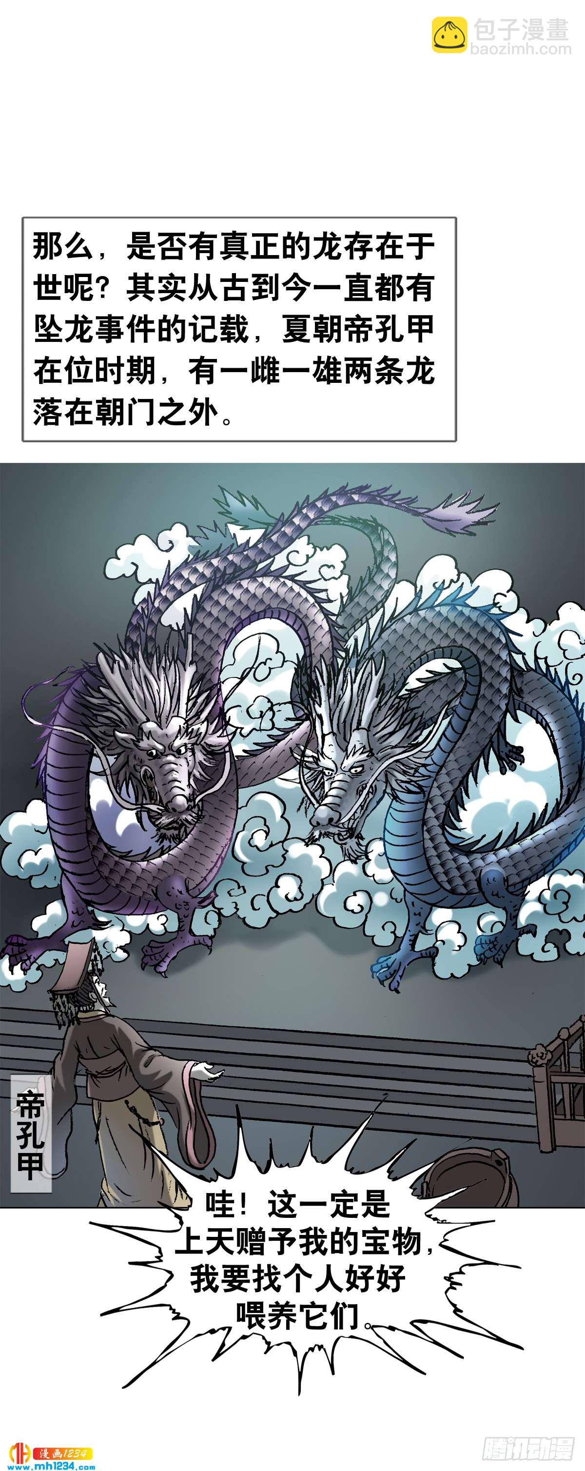 《传奇中国》8古代真的有龙吗？ 第7页