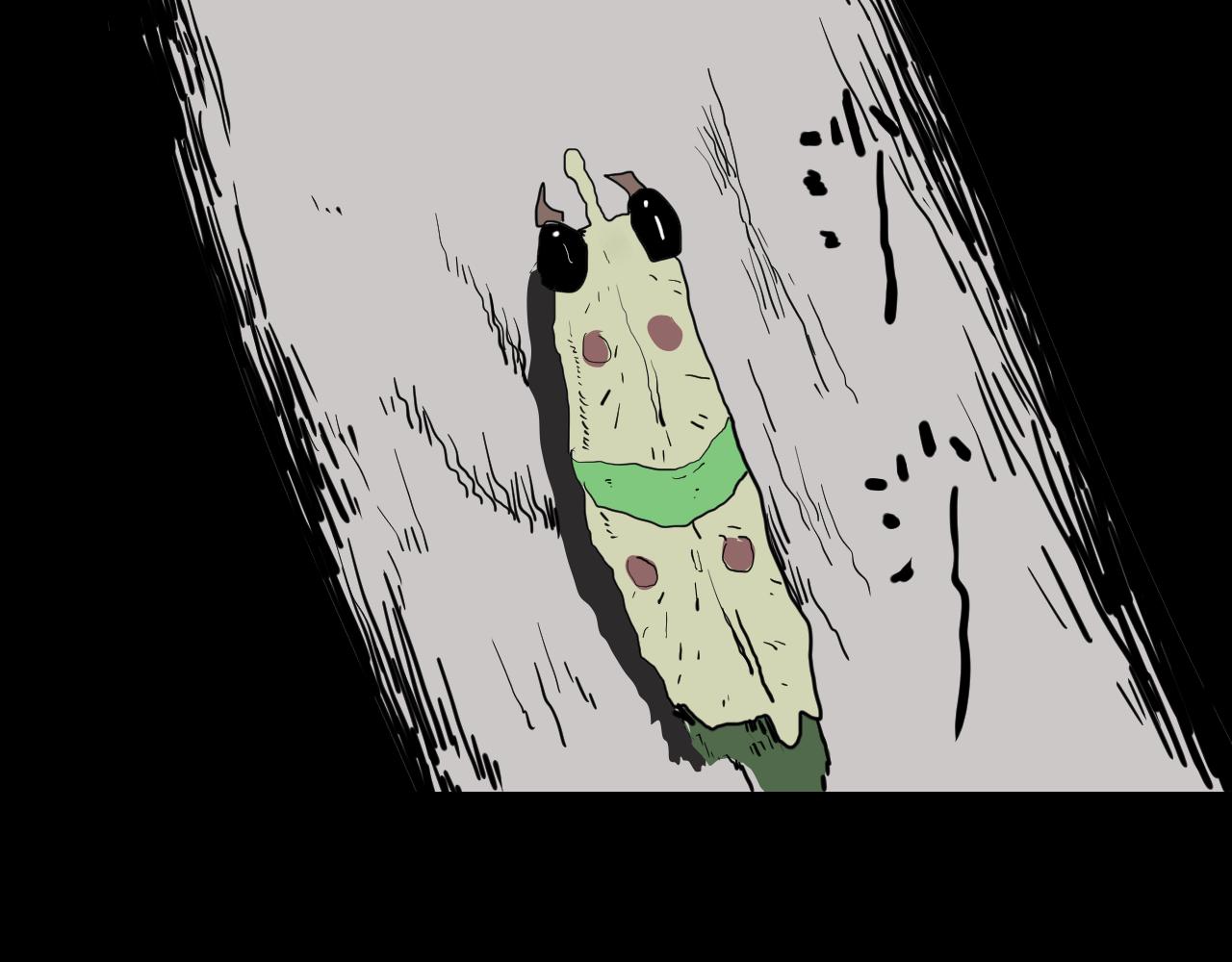 《黑段子》虫子 第14页