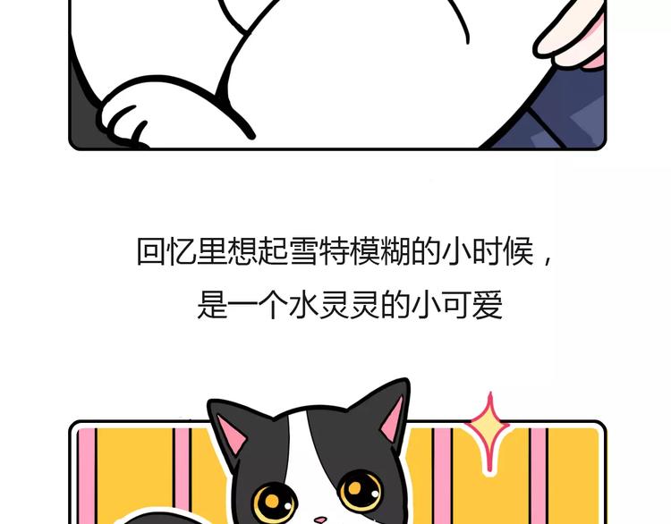 《Hello余雪特》第4话 第3页
