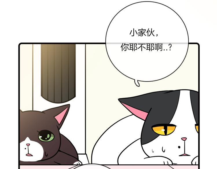 《Hello余雪特》第35话 第7页