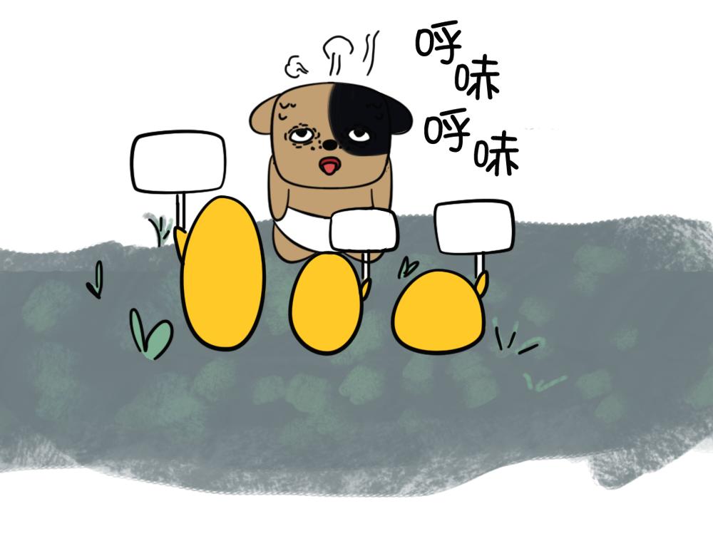 《姐姐这个暴君》赖皮小鸡的出场 1 第14页