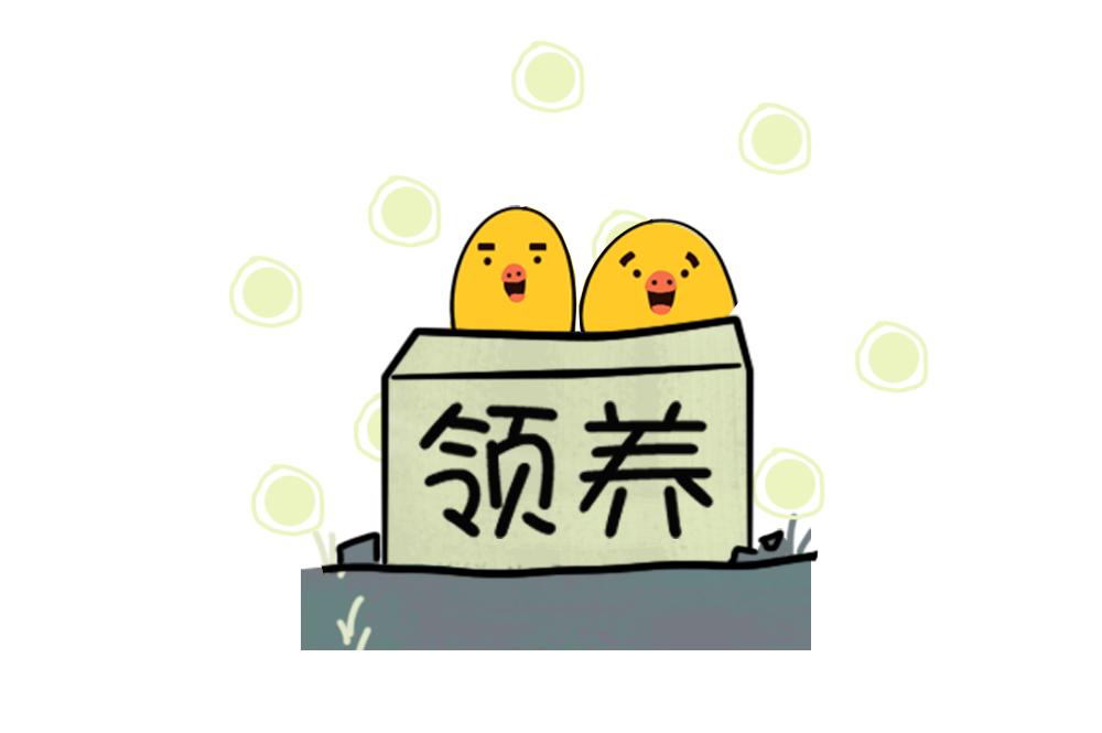 《姐姐这个暴君》赖皮小鸡的出场 1 第5页