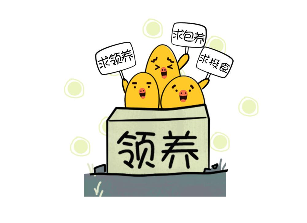 《姐姐这个暴君》赖皮小鸡的出场 1 第6页