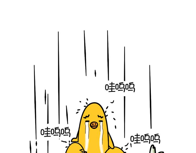 《姐姐这个暴君》赖皮小鸡的出场 3 第12页