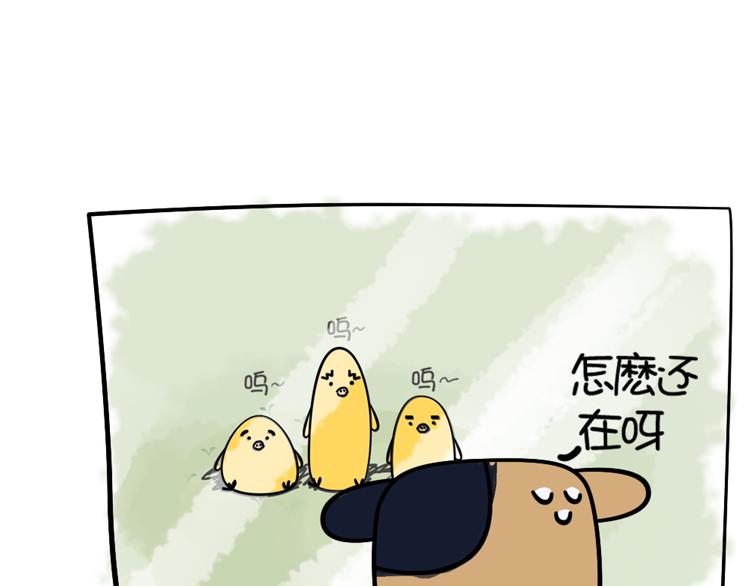 《姐姐这个暴君》赖皮小鸡的出场 3 第4页