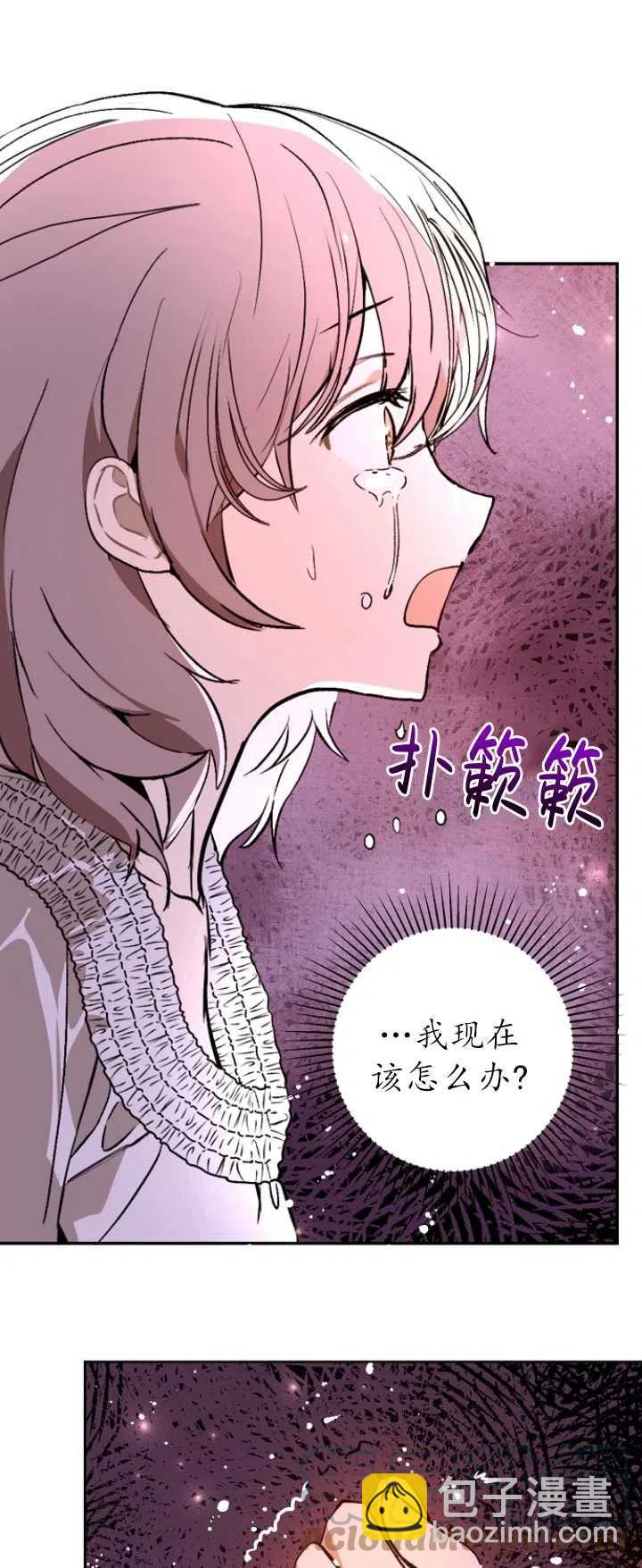 《没打算勾引男主》第22话 第40页
