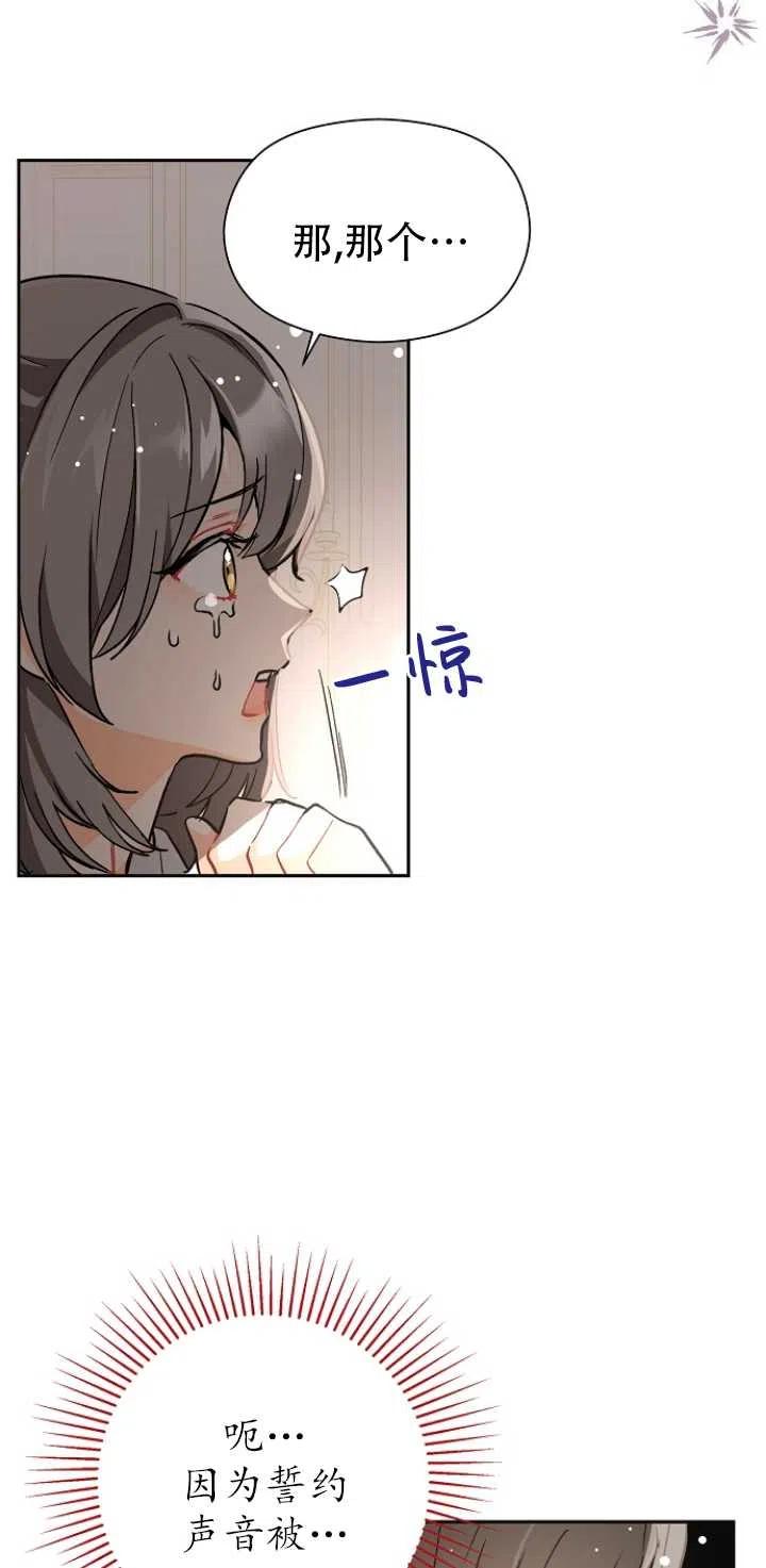 《没打算勾引男主》第28话 第42页