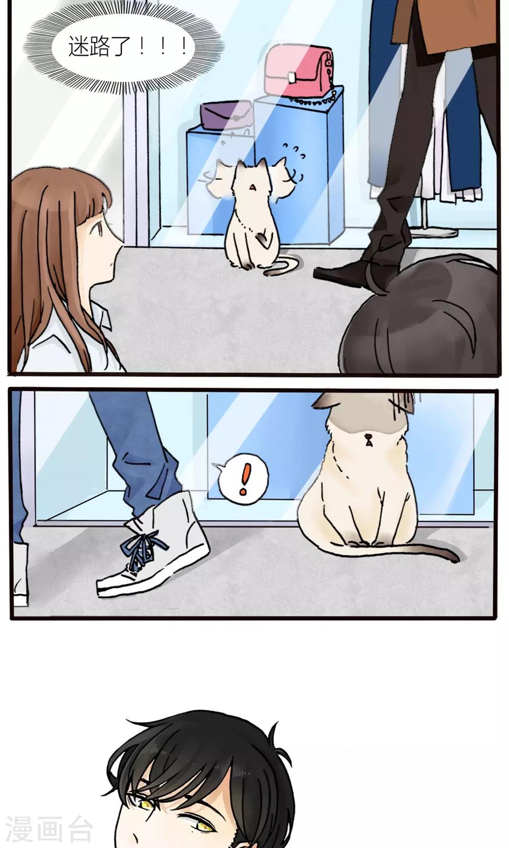 《说了猫还没灭绝呢》第1话 第4页