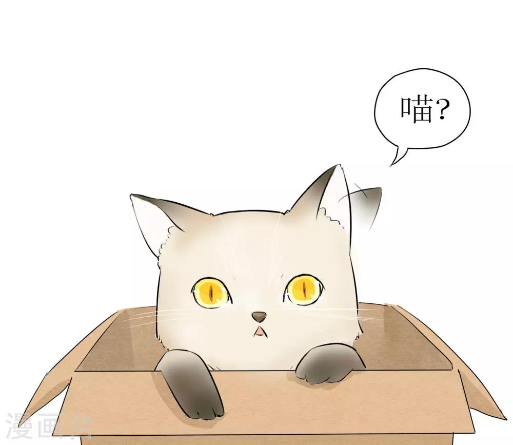 《说了猫还没灭绝呢》第4话 第16页