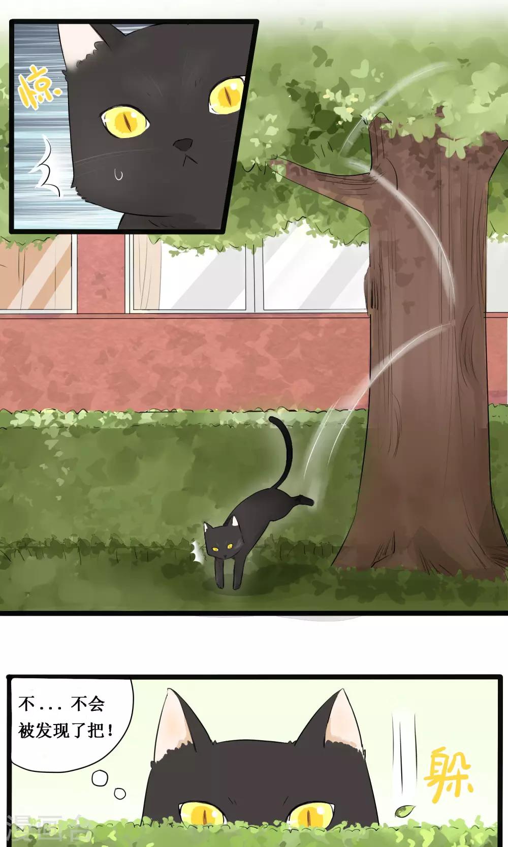 《说了猫还没灭绝呢》第3话 第3页