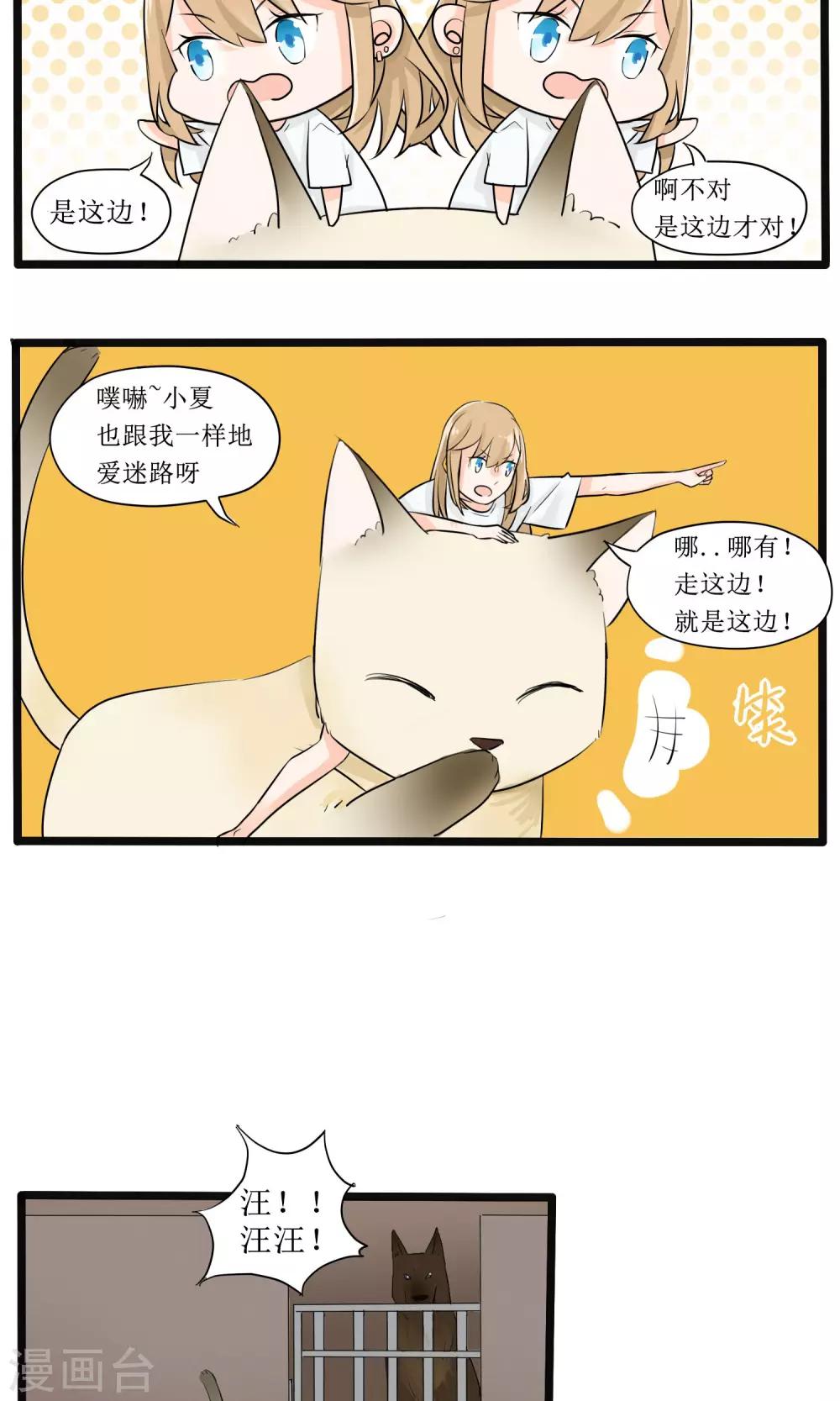 《说了猫还没灭绝呢》第6话 第7页